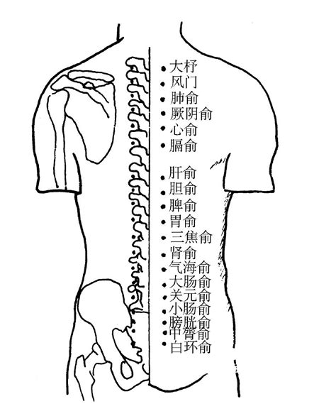 五俞穴口訣|第三讲 五俞穴的理论及其配穴规律 